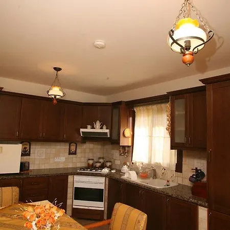 Villa Vasa *